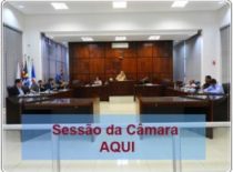 01-camara-263x199
