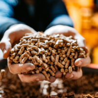 Captura de tela 2025-07-25 115555